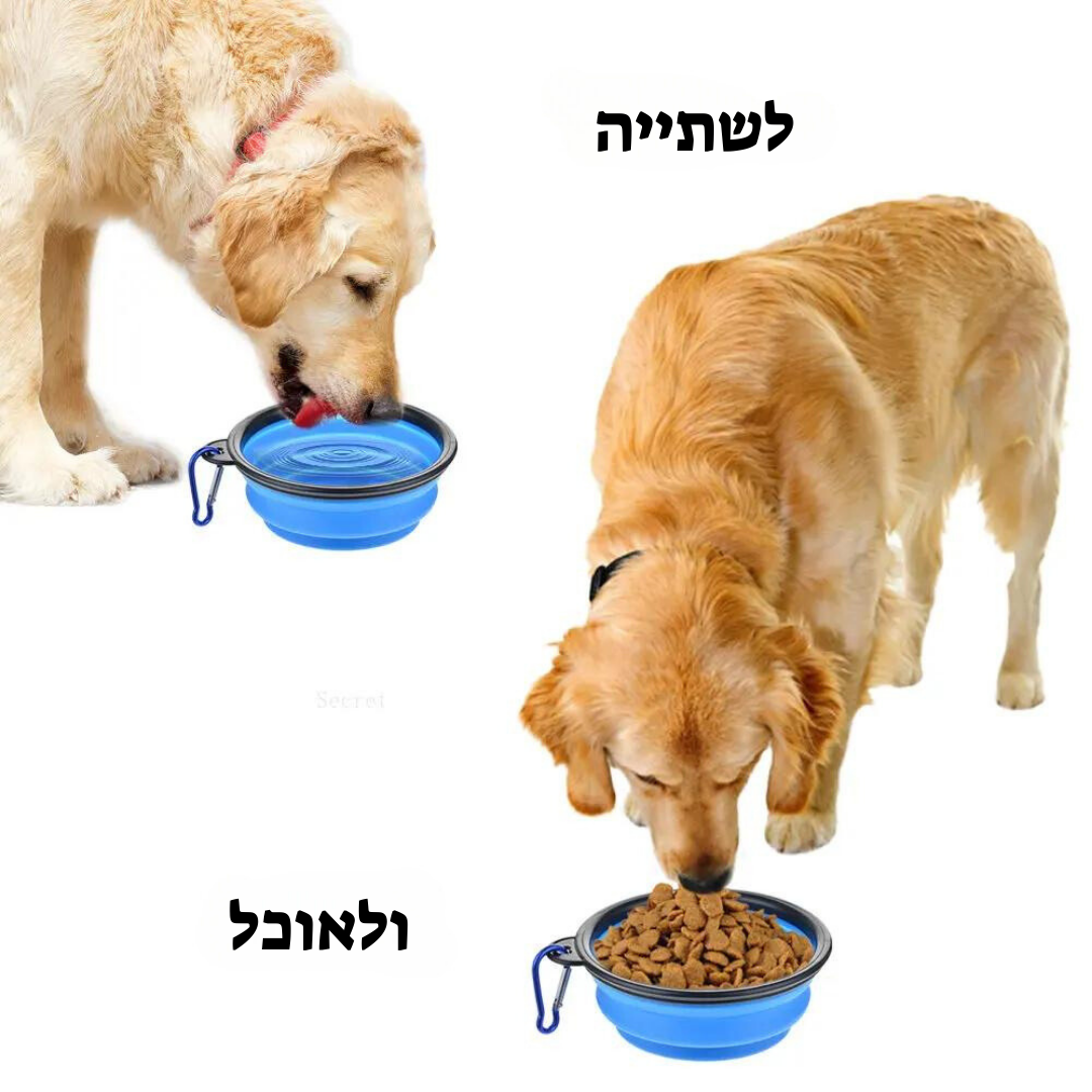 קערת מתקפלת ניידת