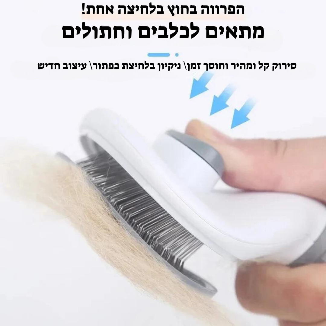 מסרק הקסם