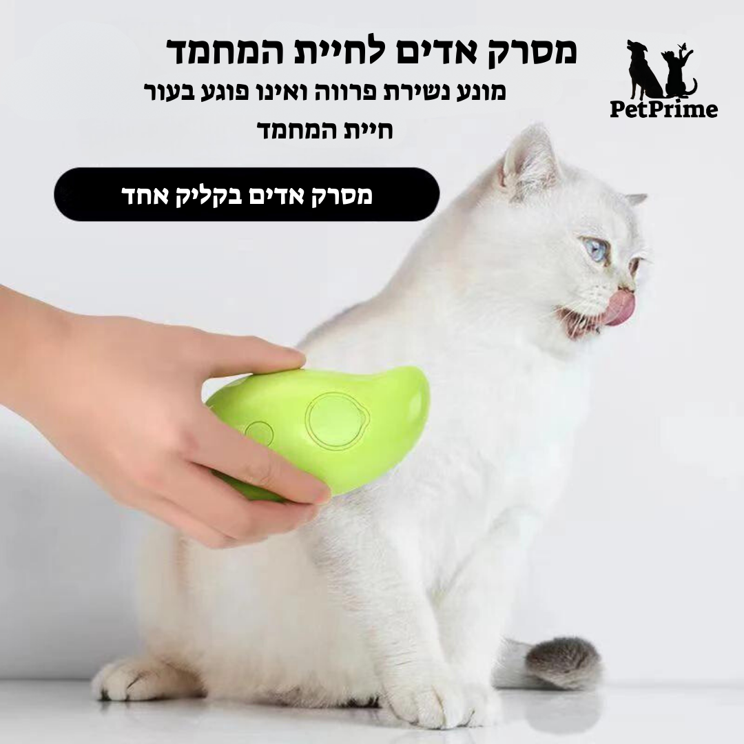 מסרק אדים לכלב ולחתול