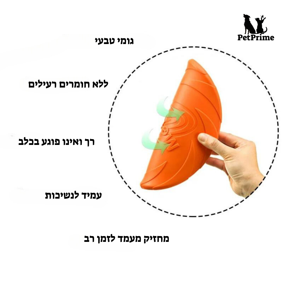 צלחת מעופפת לכלב