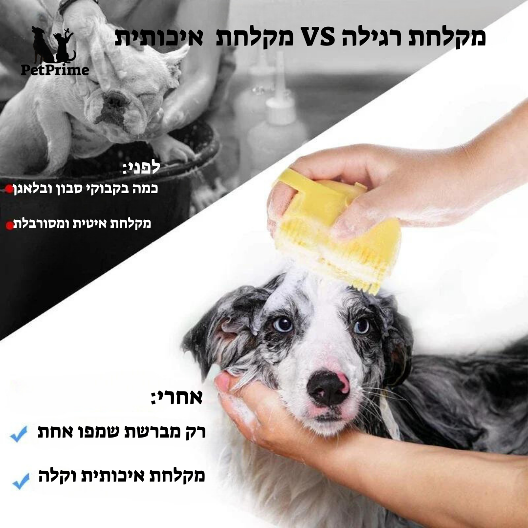 מברשת שמפו