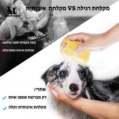 מברשת שמפו