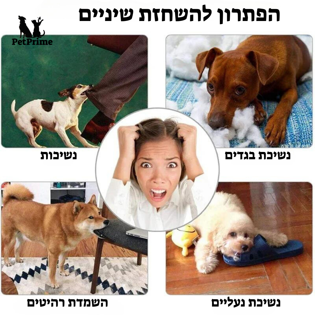 כדור לעיסה למשחק ואילוף