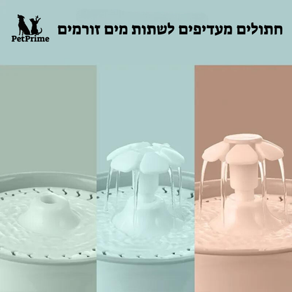 מזרקת מים לחתולים