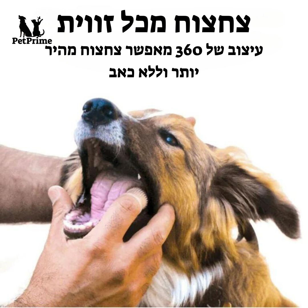 מברשת אצבע לניקוי השיניים