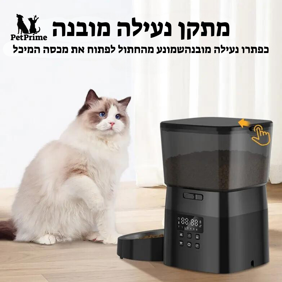 מתקן האכלה אוטומטי לחתול