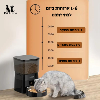 מתקן האכלה אוטומטי לחתול