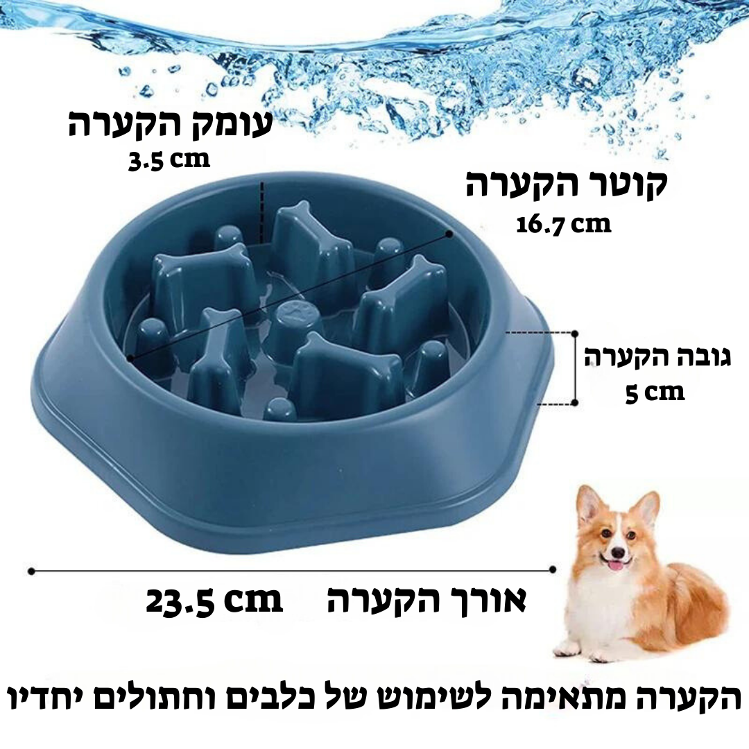 קערת אכילת איטית