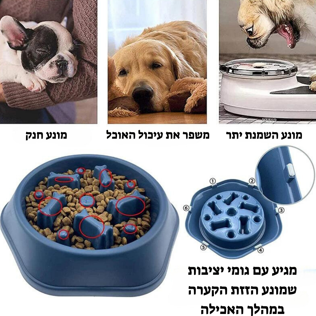 קערת אכילת איטית